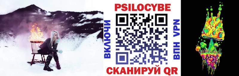 магазин    Калининск  Галлюциногенные грибы Psilocybine cubensis 